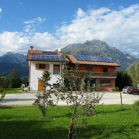 Agriturismo Al Bachero Belluno Eksteriør billede