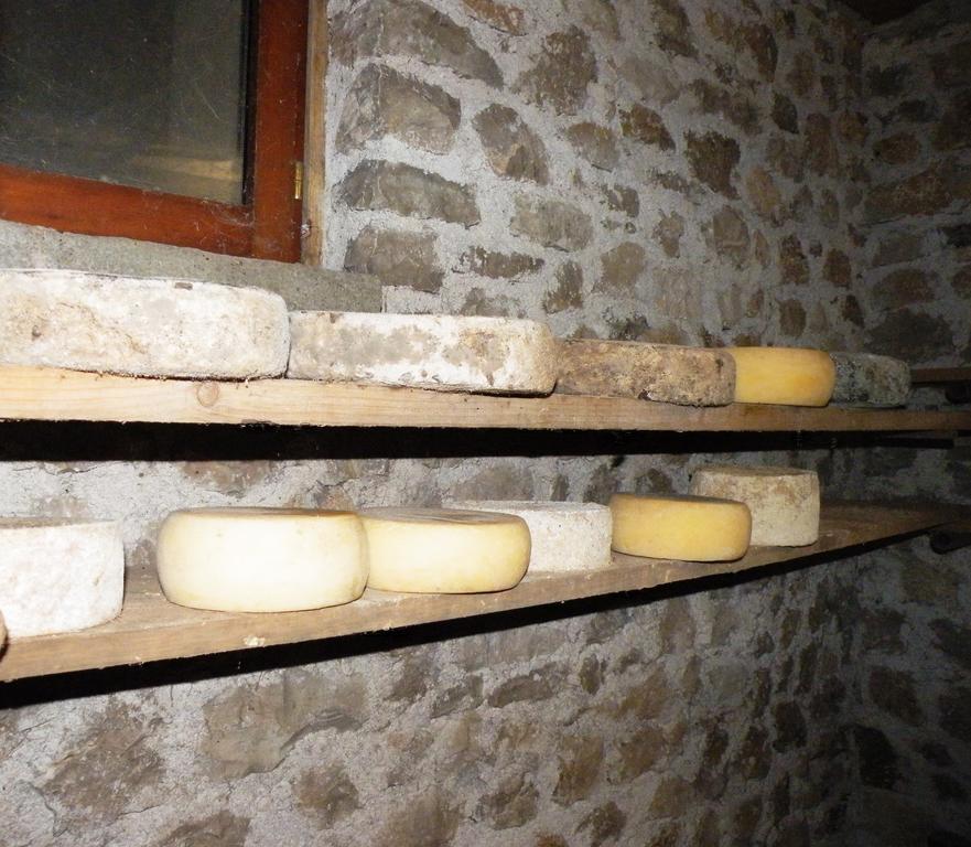 Agriturismo Al Bachero Belluno Eksteriør billede