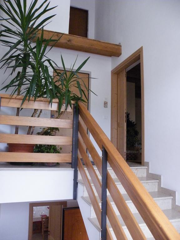 Agriturismo Al Bachero Belluno Eksteriør billede