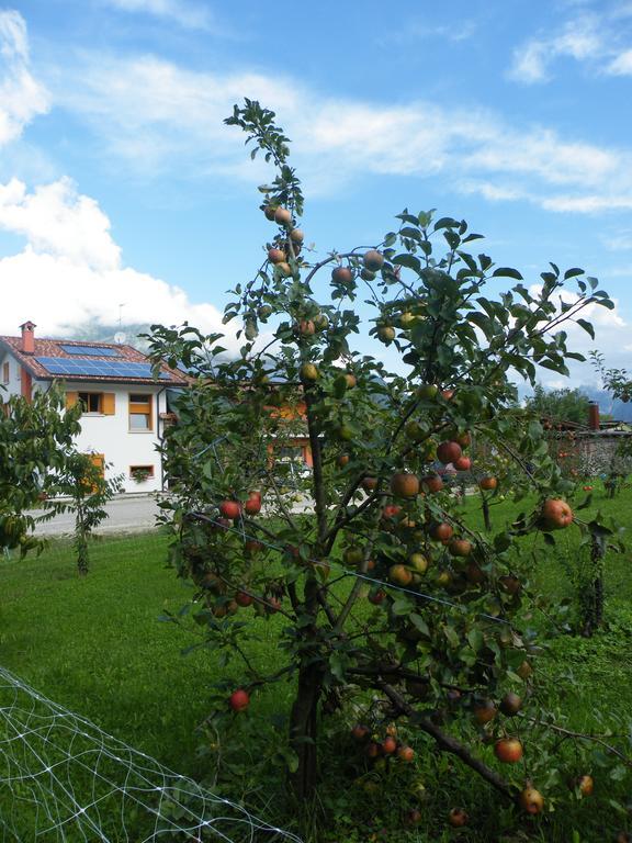 Agriturismo Al Bachero Belluno Eksteriør billede
