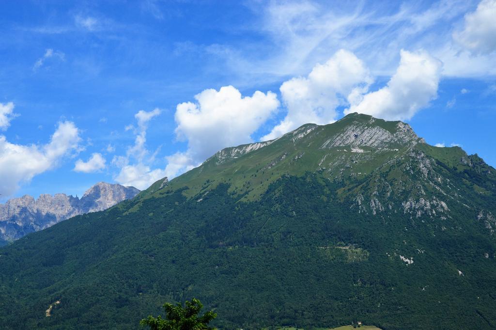 Agriturismo Al Bachero Belluno Eksteriør billede