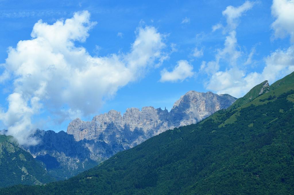 Agriturismo Al Bachero Belluno Eksteriør billede